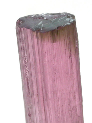 Elbaite var. Rubellite Tourmaline from Himalaya Mine, Mesa Grande District, San Diego County, California