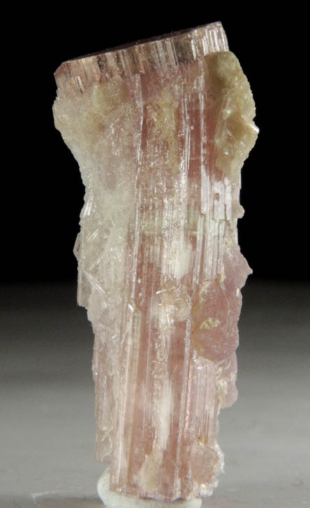 Elbaite var. Rubellite Tourmaline from Himalaya Mine, Mesa Grande District, San Diego County, California