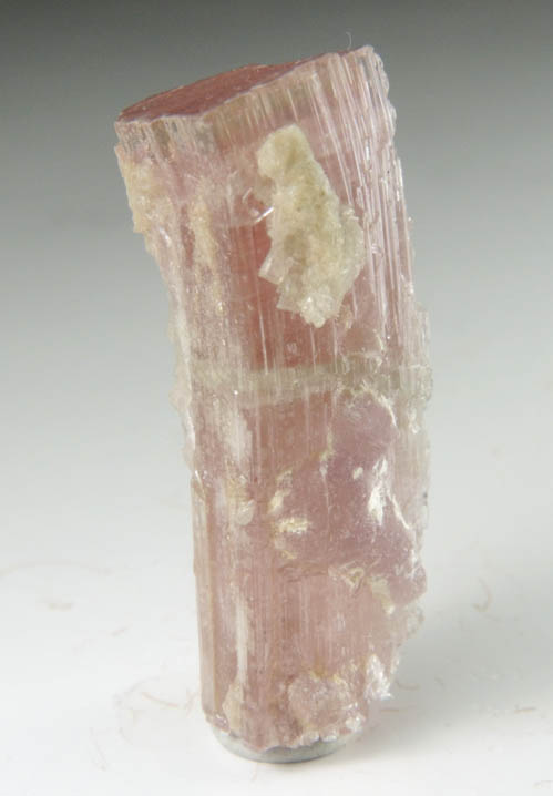 Elbaite var. Rubellite Tourmaline from Himalaya Mine, Mesa Grande District, San Diego County, California