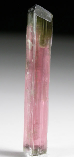 Elbaite var. Rubellite Tourmaline from Himalaya Mine, Mesa Grande District, San Diego County, California