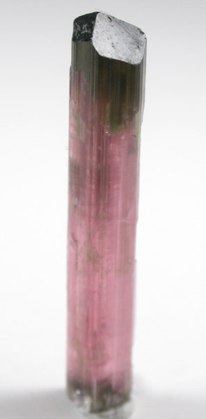 Elbaite var. Rubellite Tourmaline from Himalaya Mine, Mesa Grande District, San Diego County, California