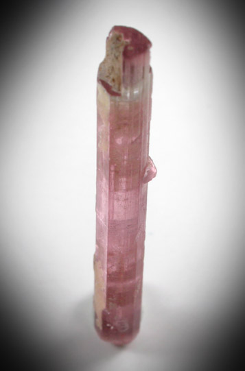 Elbaite var. Rubellite Tourmaline from Himalaya Mine, Mesa Grande District, San Diego County, California