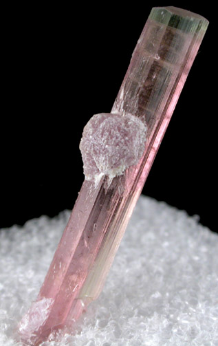 Elbaite var. Rubellite Tourmaline with Lepidolite from Himalaya Mine, Mesa Grande District, San Diego County, California