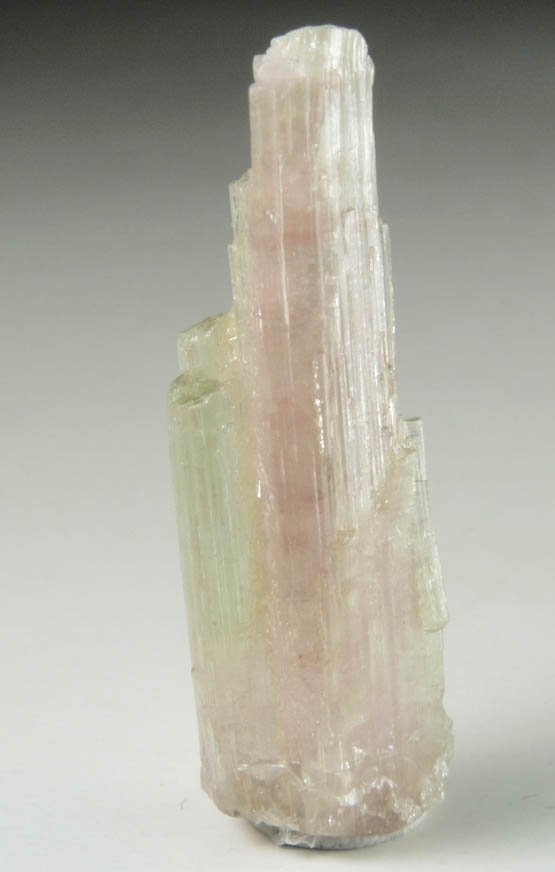 Elbaite Tourmaline from Himalaya Mine, Mesa Grande District, San Diego County, California