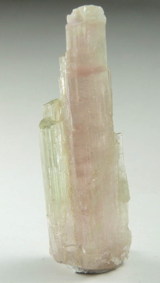 Elbaite Tourmaline from Himalaya Mine, Mesa Grande District, San Diego County, California