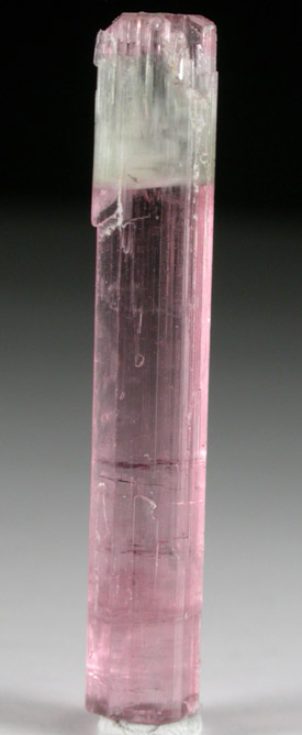 Elbaite var. Rubellite Tourmaline from Himalaya Mine, Mesa Grande District, San Diego County, California