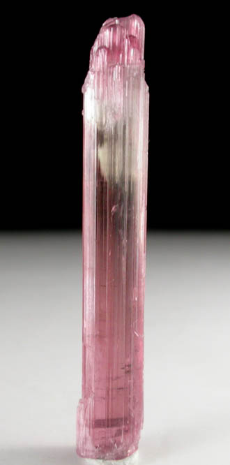 Elbaite var. Rubellite Tourmaline from Himalaya Mine, Mesa Grande District, San Diego County, California