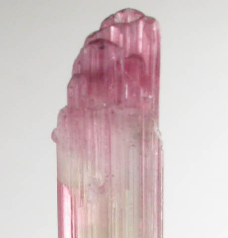 Elbaite var. Rubellite Tourmaline from Himalaya Mine, Mesa Grande District, San Diego County, California