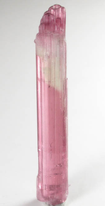 Elbaite var. Rubellite Tourmaline from Himalaya Mine, Mesa Grande District, San Diego County, California