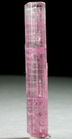 Elbaite var. Rubellite Tourmaline from Himalaya Mine, Mesa Grande District, San Diego County, California