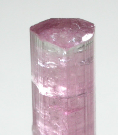 Elbaite var. Rubellite Tourmaline from Himalaya Mine, Mesa Grande District, San Diego County, California