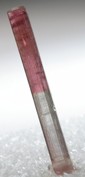 Elbaite var. Bi-colored Tourmaline from Himalaya Mine, Mesa Grande District, San Diego County, California