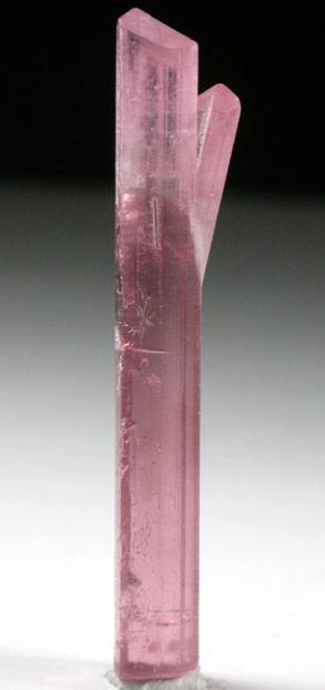 Elbaite var. Rubellite Tourmaline from Himalaya Mine, Mesa Grande District, San Diego County, California