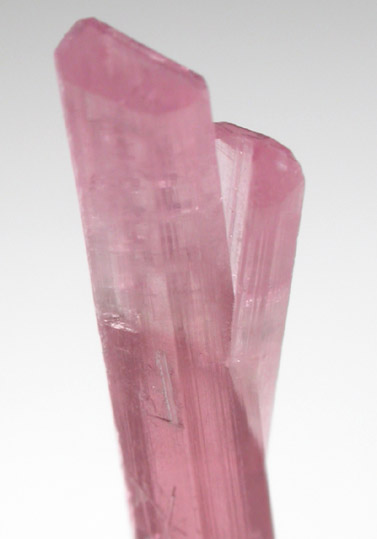 Elbaite var. Rubellite Tourmaline from Himalaya Mine, Mesa Grande District, San Diego County, California