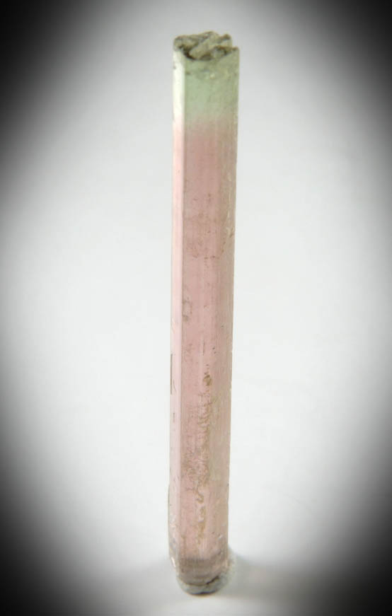 Elbaite var. Rubellite Tourmaline from Himalaya Mine, Mesa Grande District, San Diego County, California