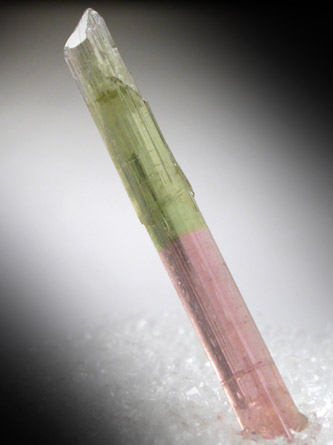 Elbaite var. Bi-colored Tourmaline from Himalaya Mine, Mesa Grande District, San Diego County, California