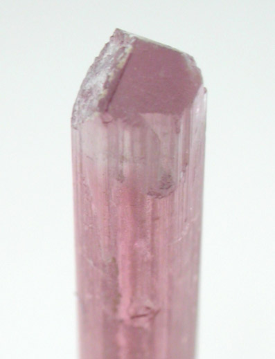 Elbaite var. Rubellite Tourmaline from Himalaya Mine, Mesa Grande District, San Diego County, California