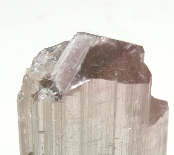 Elbaite var. Rubellite Tourmaline with Lepidolite from Himalaya Mine, Mesa Grande District, San Diego County, California