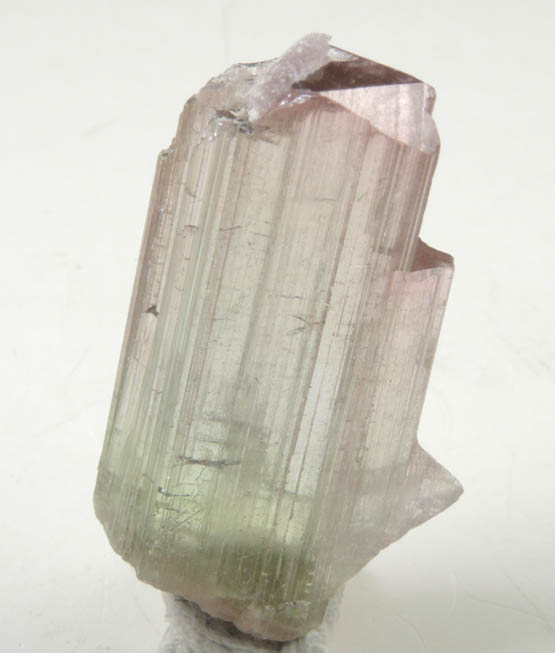 Elbaite var. Rubellite Tourmaline with Lepidolite from Himalaya Mine, Mesa Grande District, San Diego County, California