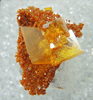 Wulfenite with Vanadinite pseudomorphs after Wulfenite from Rowley Mine, 20 km northwest of Theba, Painted Rock Mountains, Maricopa County, Arizona