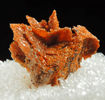 Vanadinite pseudomorphs after Wulfenite from Rowley Mine, 20 km northwest of Theba, Painted Rock Mountains, Maricopa County, Arizona