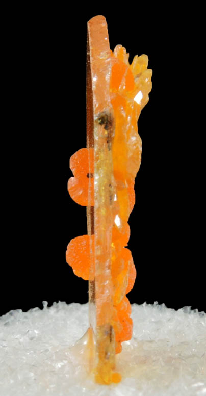 Mimetite on Wulfenite from Sierra de Los Lamentos, Chihuahua, Mexico