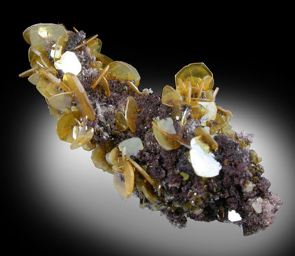 Wulfenite from Defiance Mine, Courtland-Gleeson District, Cochise County, Arizona