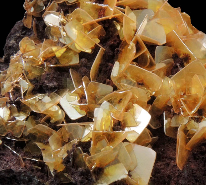 Wulfenite from Defiance Mine, Courtland-Gleeson District, Cochise County, Arizona