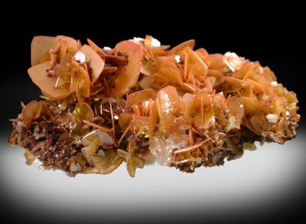 Wulfenite from Defiance Mine, Courtland-Gleeson District, Cochise County, Arizona