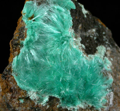 Aurichalcite from 79 Mine, Banner District, near Hayden, Gila County, Arizona