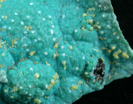 Chrysocolla from Inspiration Mine, Globe-Miami District, Gila County, Arizona