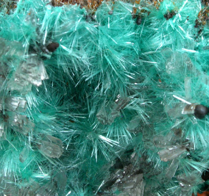 Aurichalcite with Hemimorphite from 79 Mine, Banner District, near Hayden, Gila County, Arizona