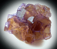 Fluorite from Annabel Lee Mine, Harris Creek District, Hardin County, Illinois