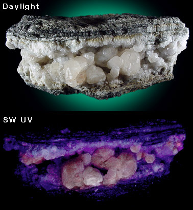 Calcite and Quartz in basalt pocket from Farmington Trap Rock Quarry, Farmington, Connecticut
