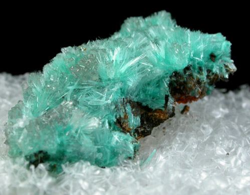 Aurichalcite from 79 Mine, Banner District, near Hayden, Gila County, Arizona