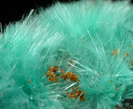 Aurichalcite from 79 Mine, Banner District, near Hayden, Gila County, Arizona