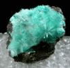 Aurichalcite from 79 Mine, Banner District, near Hayden, Gila County, Arizona