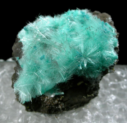 Aurichalcite from 79 Mine, Banner District, near Hayden, Gila County, Arizona