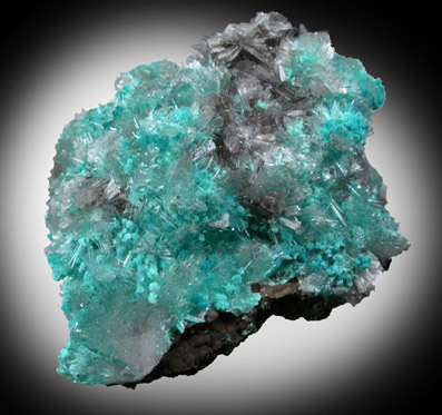 Aurichalcite and Hemimorphite from 79 Mine, Banner District, near Hayden, Gila County, Arizona