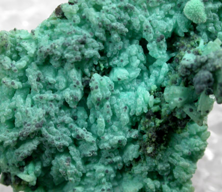 Chrysocolla pseudomorphs after Hemimorphite from 79 Mine, Banner District, near Hayden, Gila County, Arizona