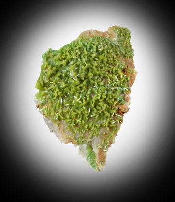 Pyromorphite from Bwlchglas Mine, Dyfed, Cardingshire, Wales