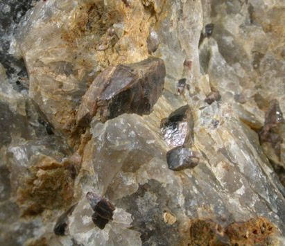 Zircon and Titanite from Tory Hill, Bancroft, Ontario, Canada