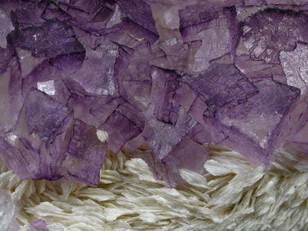 Fluorite on Barite from Central Kentucky Fluorspar District, Danville, Boyle County, Kentucky