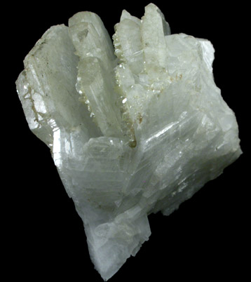 Albite var. Cleavelandite with Muscovite from Amelia Court House, Amelia County, Virginia