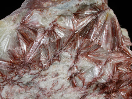 Pyrophyllite-2M from Mitchell County, North Carolina