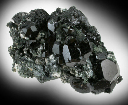 Dravite-Uvite Tourmaline and Tremolite from Bower Power's Farm, Pierrepont, St. Lawrence County, New York