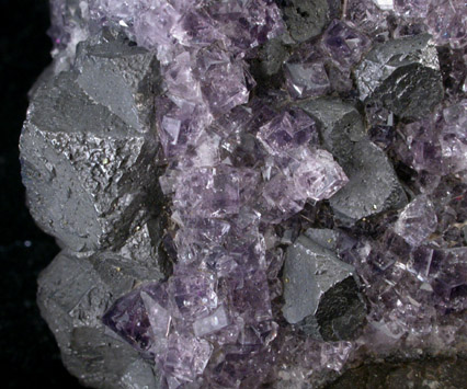 Galena and Fluorite from Blackdene Mine, Ireshopeburn, Weardale, County Durham, England
