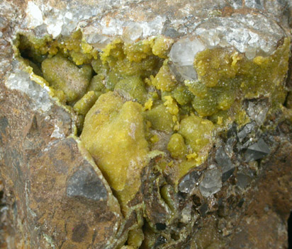 Smithsonite (cadmium-rich) from Egremont, Alston, West Cumberland Iron Mining District, Cumbria, England
