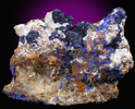 Azurite on Quartz from Zacatecas, Mexico