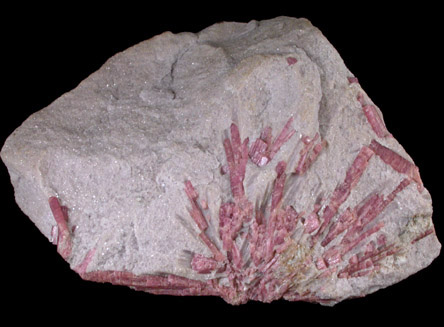 Elbaite var. Rubellite Tourmaline in Lepidolite from Stewart Mine, Pala District, San Diego County, California